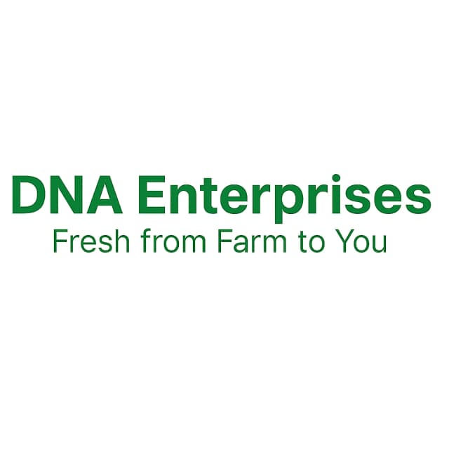 DNA Enterprises Logo